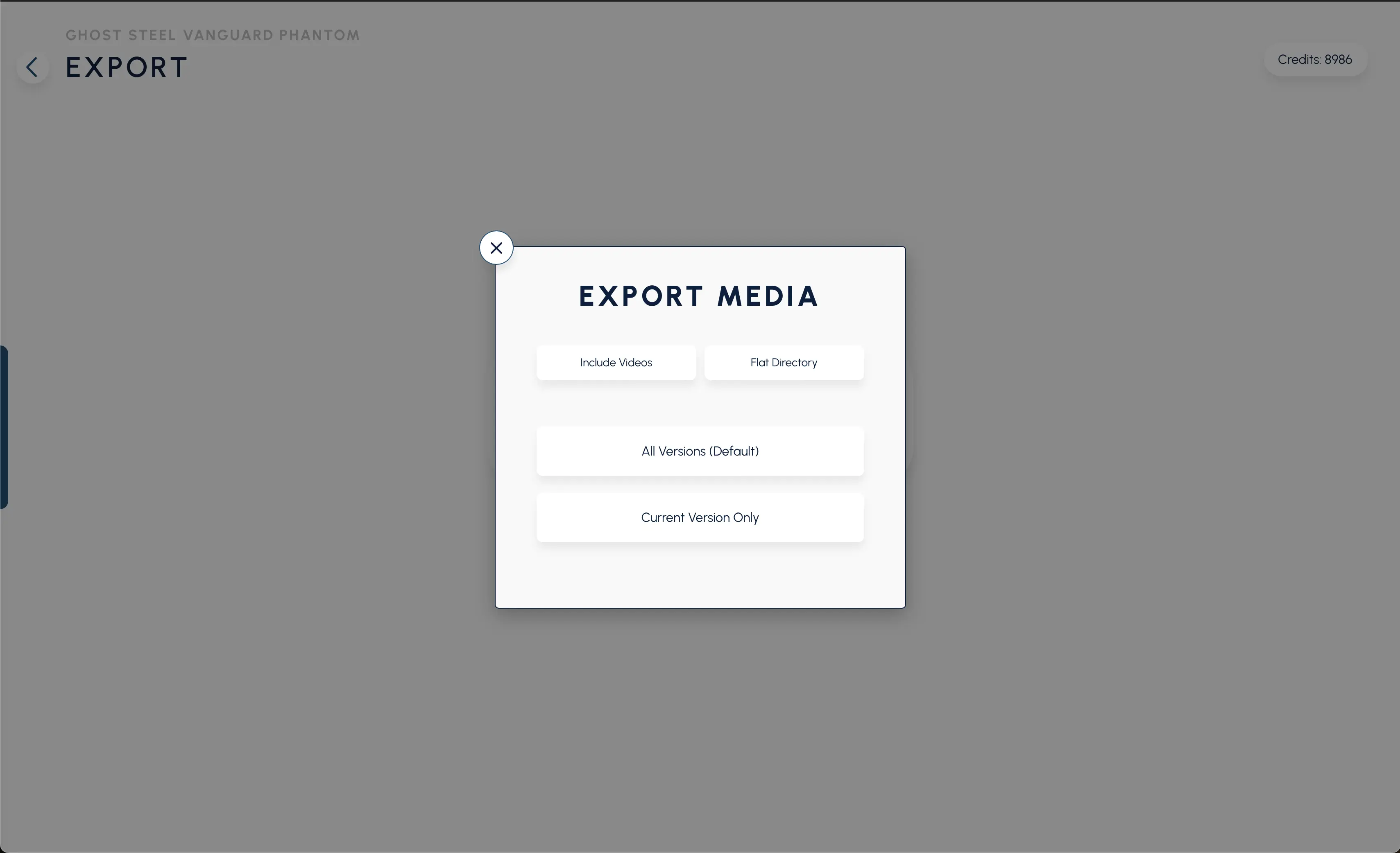 Export Media Outputs