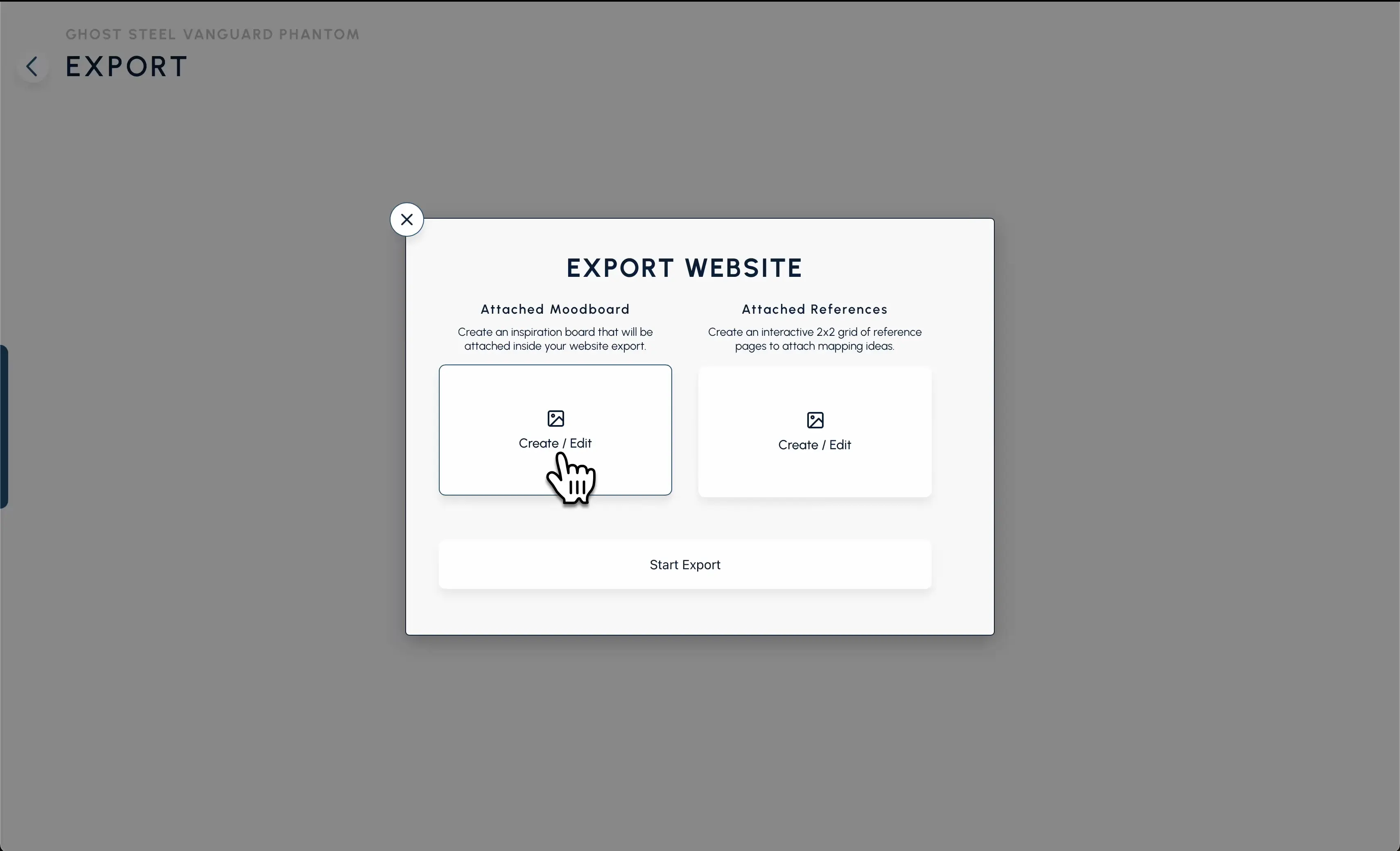 Export Website Options